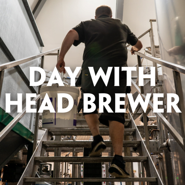 Day With Head Brewer Experience